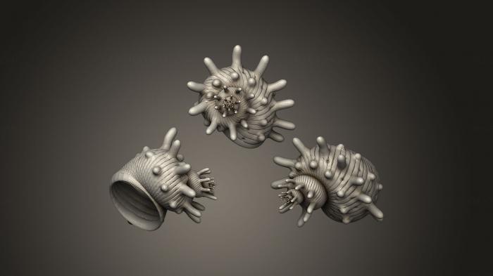 Stones and shells (ROCKS_0043) 3D model for CNC machine
